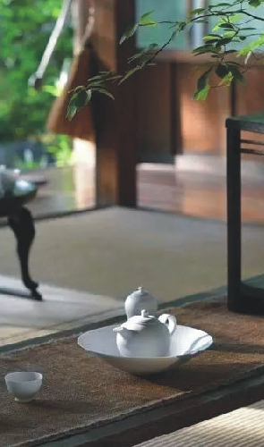 不一样的茶色芬芳